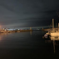 メバルプラッキング⑧