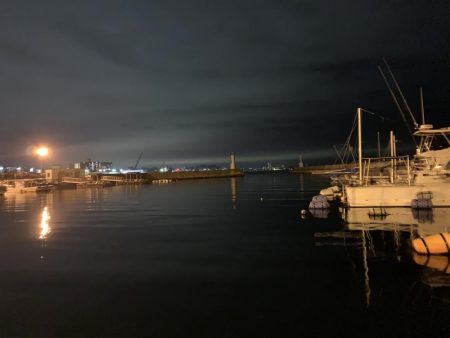 メバルプラッキング⑧