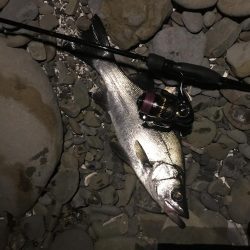 メバリング小遠征