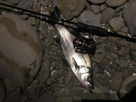 メバリング小遠征