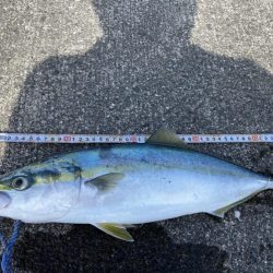 ４投で４ヒット！なのに魚は２匹だけ？（笑）