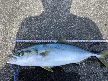 ４投で４ヒット！なのに魚は２匹だけ？（笑）