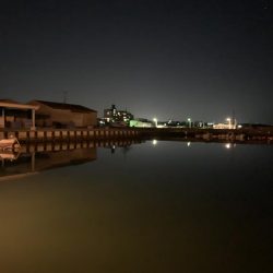 メバルプラッキング21