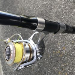 飲ませでヒラメGET