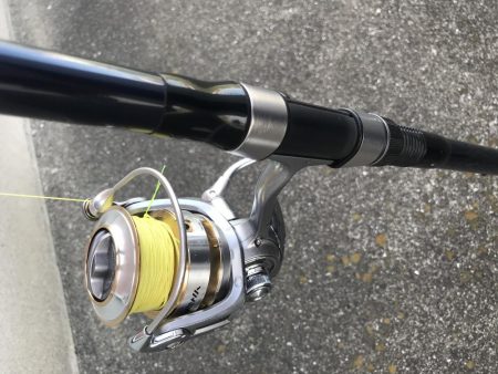 飲ませでヒラメGET