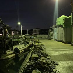 メバルプラッキング28