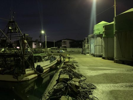 メバルプラッキング28