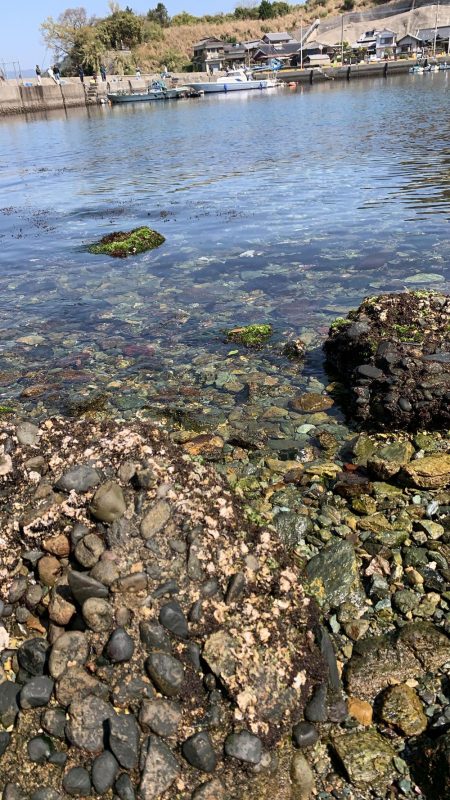 即席引っ掛け！