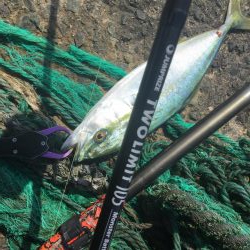 春のショアジギング開幕？