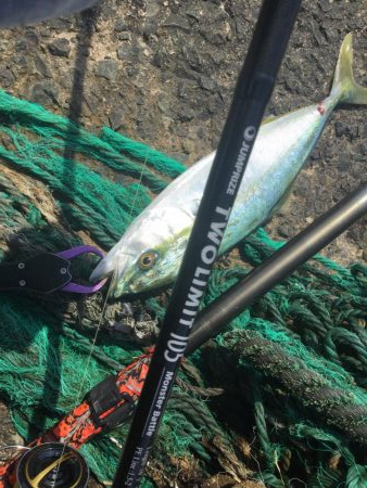 春のショアジギング開幕？