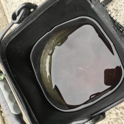 カマス引っ掛け