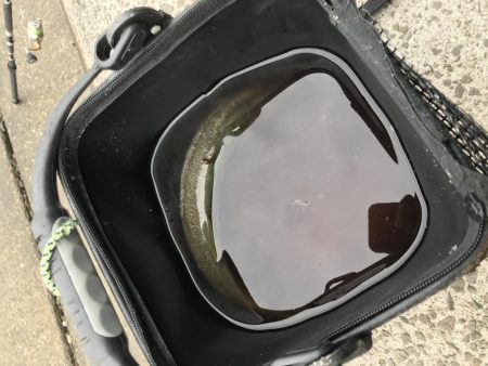 カマス引っ掛け