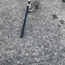 アジの飲ませでメジロGET