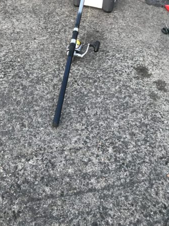 アジの飲ませでメジロGET