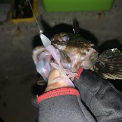 久しぶりの連続釣行