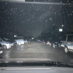 初！ホタパタ釣行