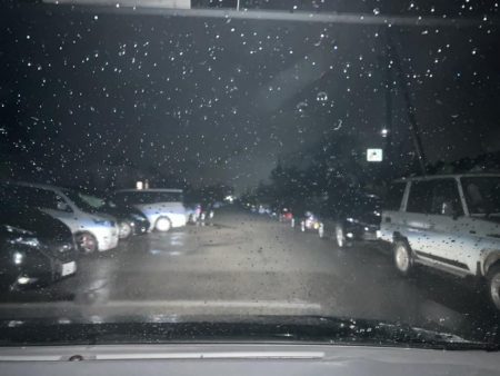 初！ホタパタ釣行