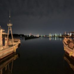 メバルプラッキング22