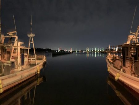 メバルプラッキング22