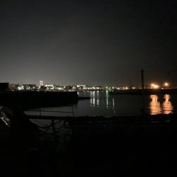 メバルプラッキング18