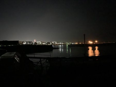 メバルプラッキング18