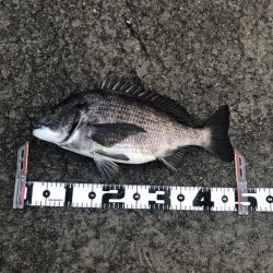 雨が上がりの朝