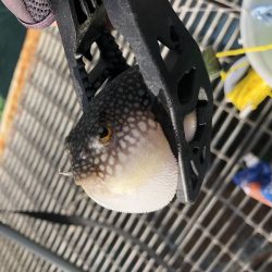 爆風向かい風がキモ