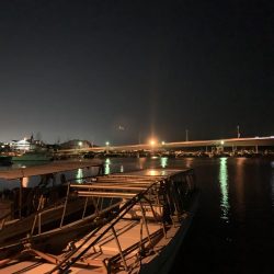 メバルプラッキング17