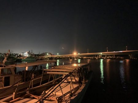 メバルプラッキング17