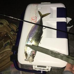 ジグ単De-アジング