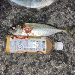 ええのんきました