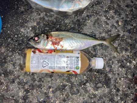 ええのんきました