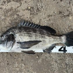 イチノ兄弟、釣果!