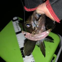 あれ？つ抜け！