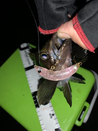 あれ？つ抜け！