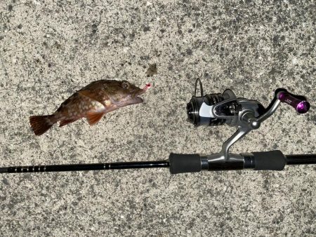 渋くなりましたねえ〜