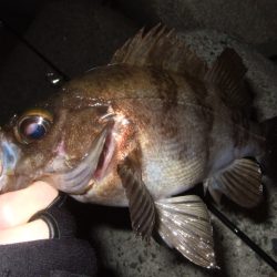 予想外に渋かった