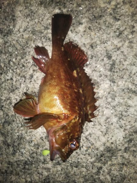 難攻ライトゲーム