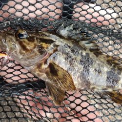 小型メタルジグ