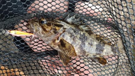 小型メタルジグ