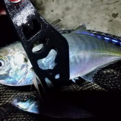 表層風ドリフト