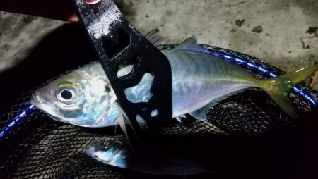 表層風ドリフト