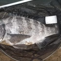 富津岬の先っちょです