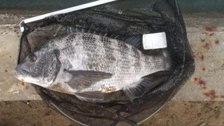 富津岬の先っちょです