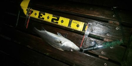 雨の中  ~さざなみ公園~