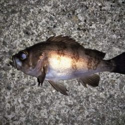 上げ潮に変わったタイミングで