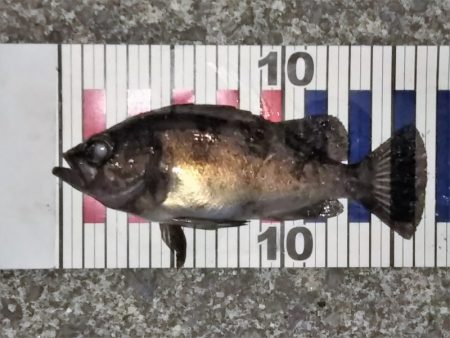 条件は悪くないはずなのに・・・