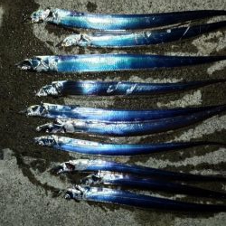 ライトタチウオ