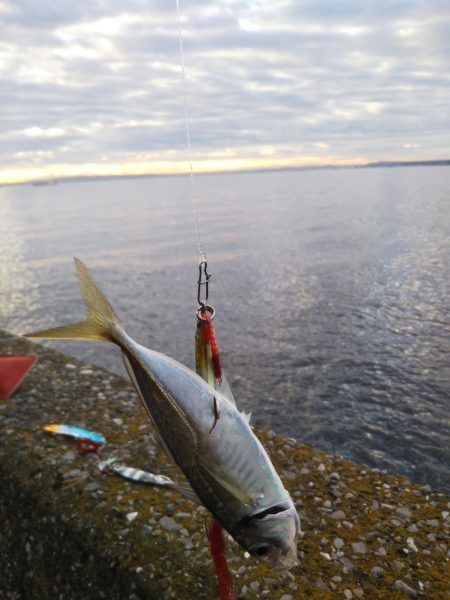 スレ掛かりのみ