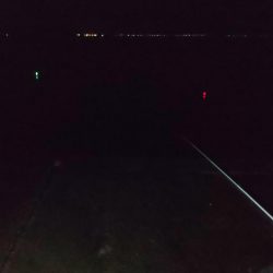 毎度です。リベンジヤリイカ釣り。